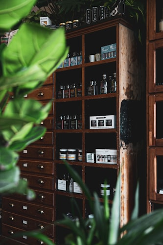 Holistic Wellness Journal